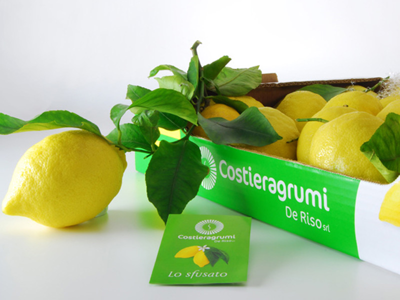 Il Limone Sfusato di Amalfi a Vinitaly con l’Accademia delle 5T