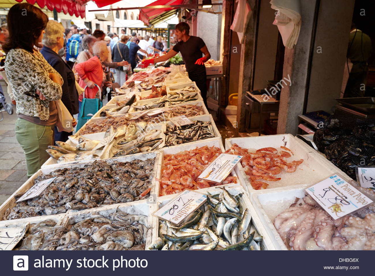 shopping-for-fresh-fish-at-the-rialto-markets-venice-italy-DHBG6X
