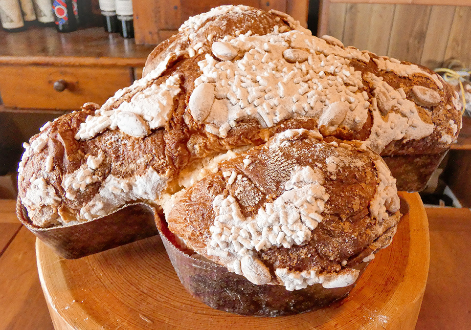 colomba-flamini