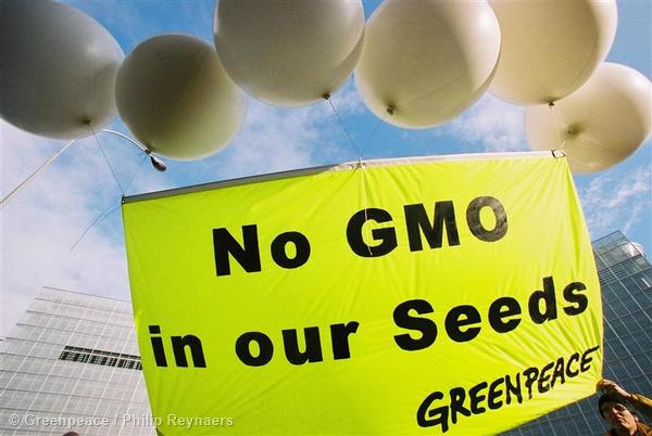 greenpeaceGP0WOD-gmos
