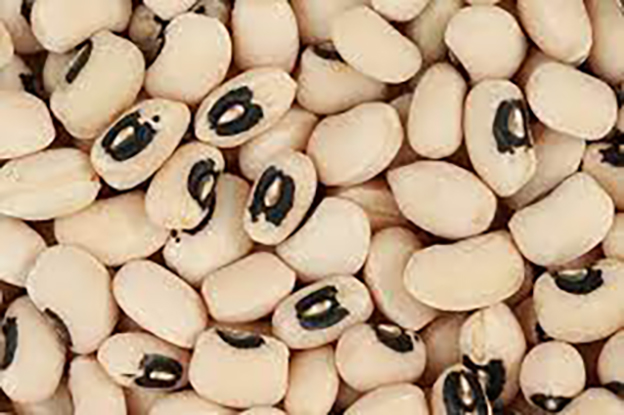 fagioli dall'occhio
