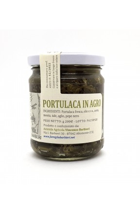 portulaca-in-agro-di-bottega-barbieri-altomonte